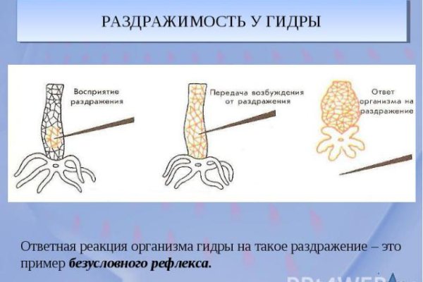 Ссылка на кракен 14ат